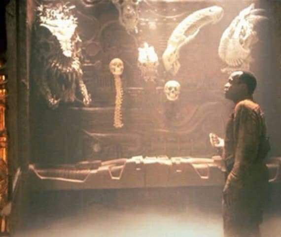 That moment in Predator 2 we all went "wait, is that…"