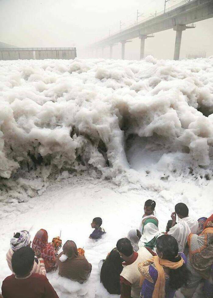 People Offering Prayers At River Yamuna, India, Which Is Frothing From Industrial Waste