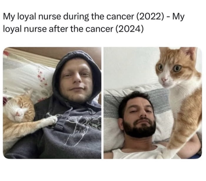 "Dude if you die there's no one to feed me, you're gonna get through this"