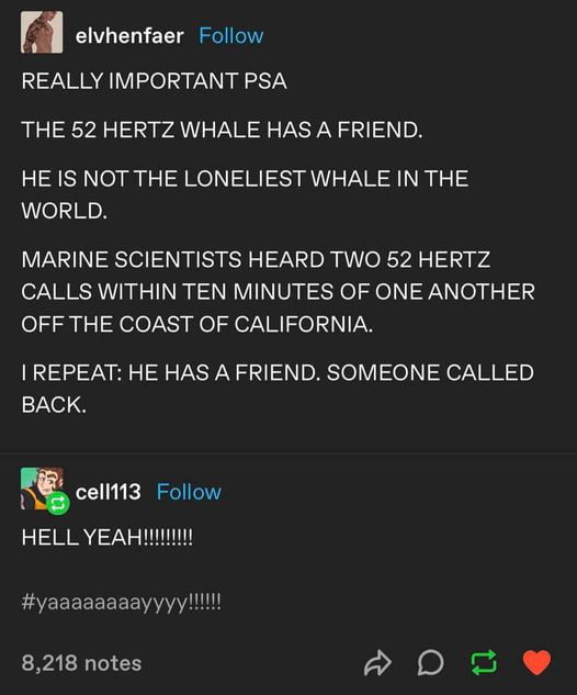 The 52-Hertz Whale is no longer The Loneliest Whale