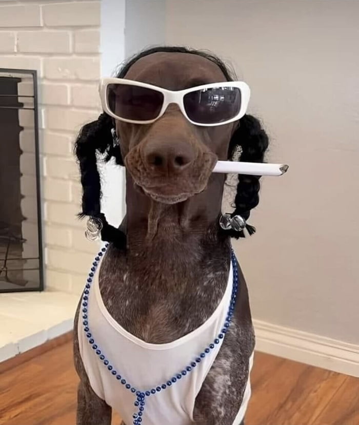 Snoop dog