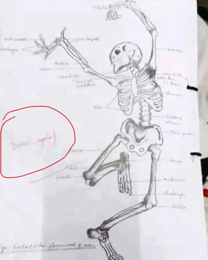 When you are med student but got some talent to show ..