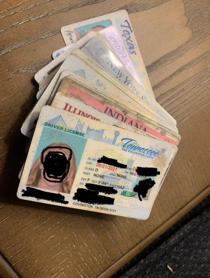 44 licenses found in shed while cleaning out new home.