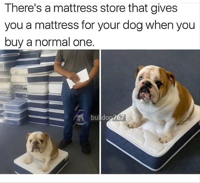Himbs loomk comfy