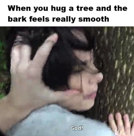 My favorite is beech.