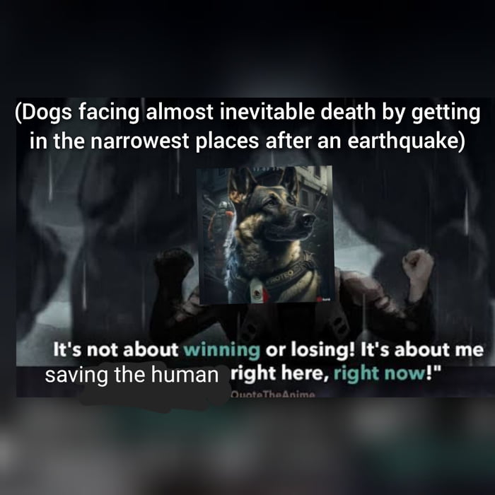 Goodbye proteo, goodest of bois.