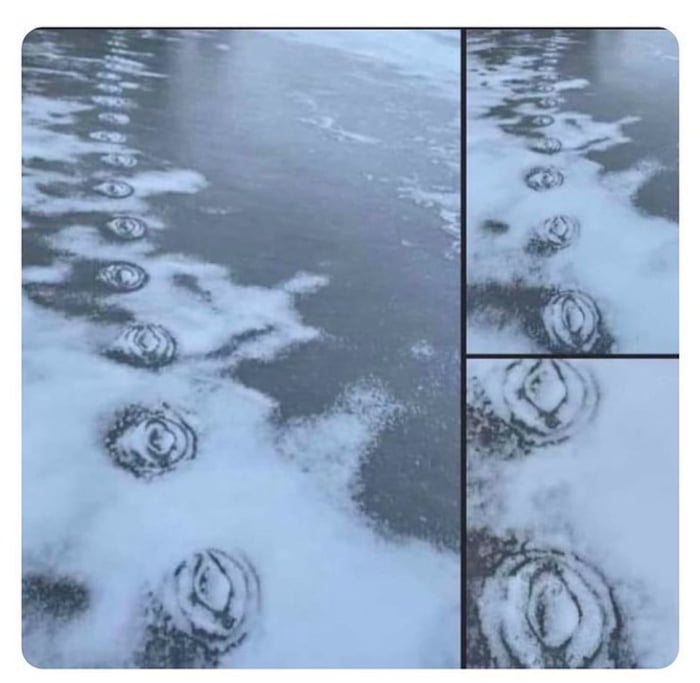 What kind of monster walked on the ice in here?