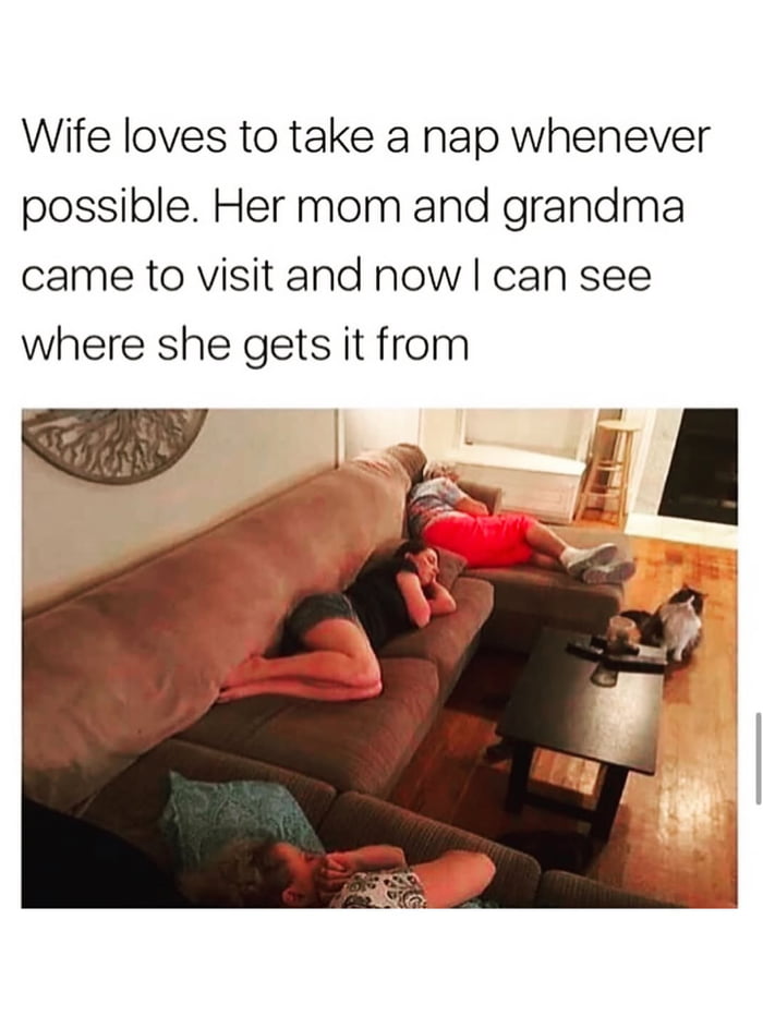 The napping gene is strong in this family.