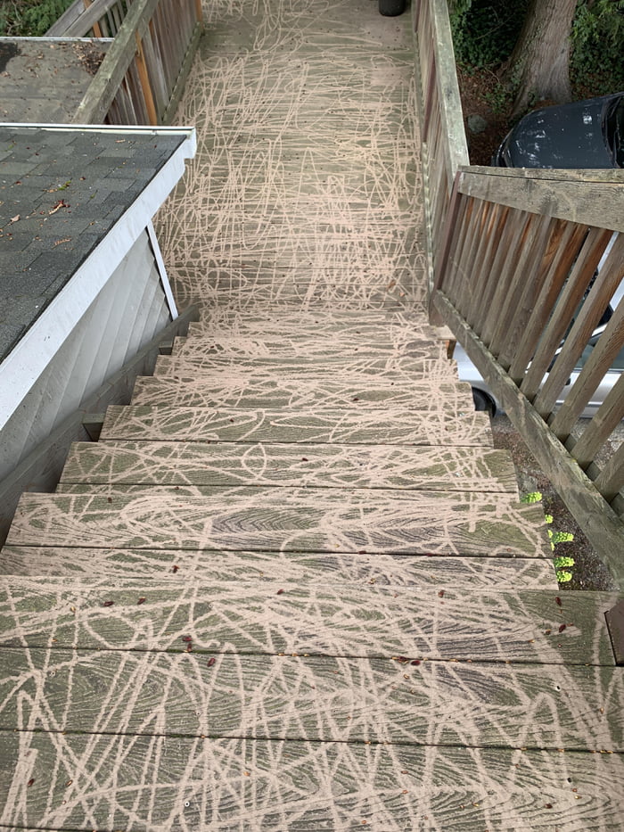 Landlord offered to pressure-wash the deck for free