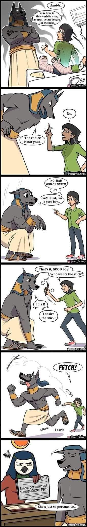 It's not an old bus, it's...