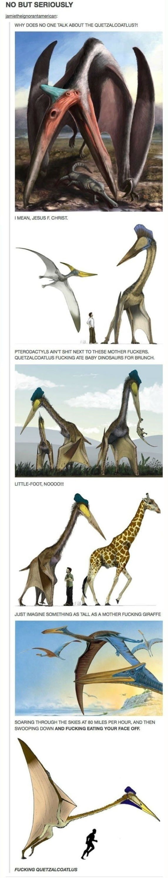 The Terror of the Sky