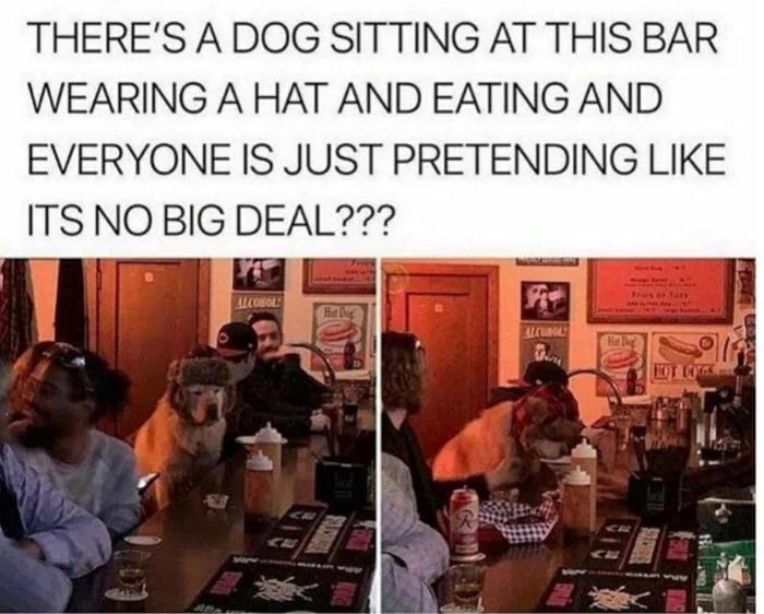 Rough Times for the Dog...