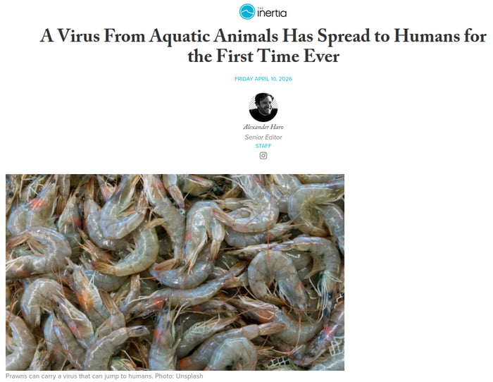 Guess which country this is coming from. Just one guess.