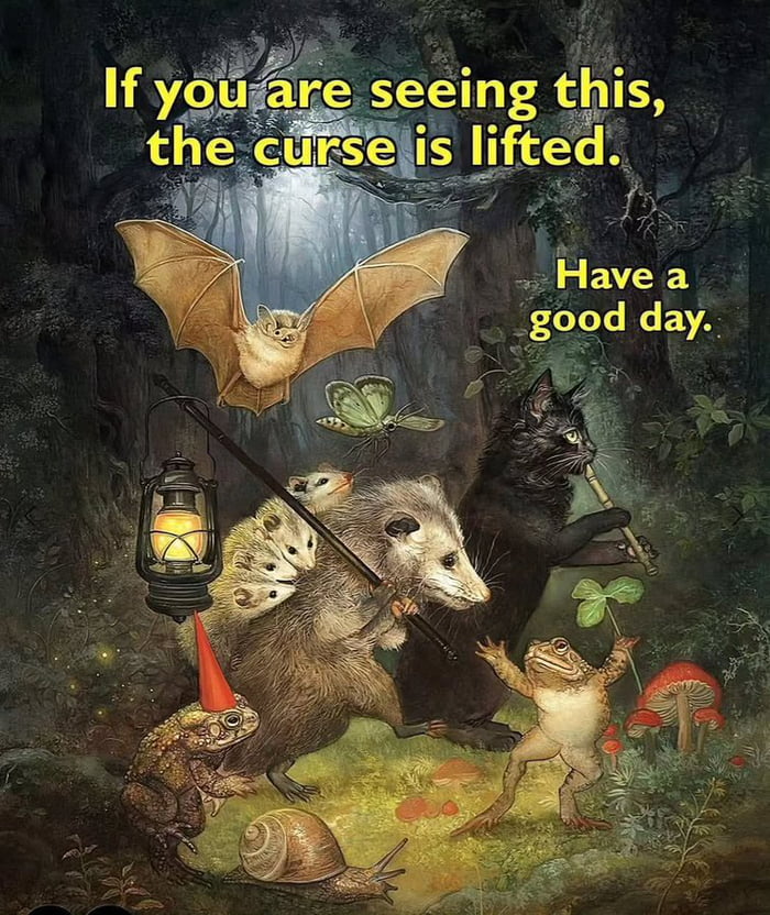 It"s wednesday my degens :)