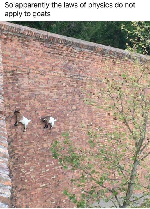 That's why they the GOATS