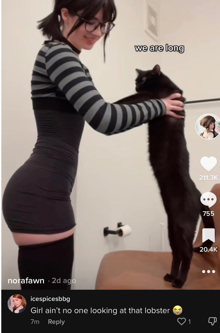 You probably didn't even notice the cat