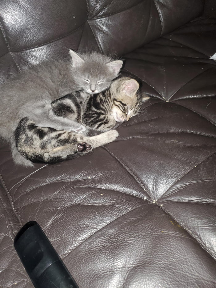 Miranda and Brown are enjoying some Netflix and chill.