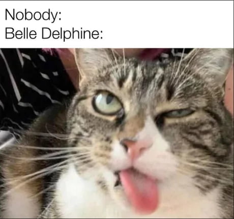 And thats how people became simps