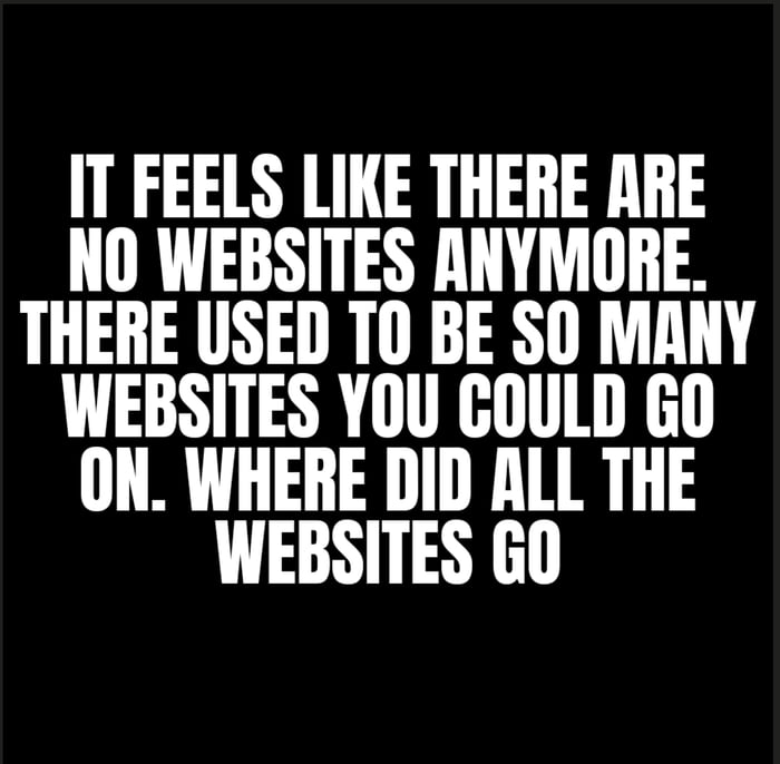 I think abt this everyday. there’s no fun websites anymore. just social media and shopping