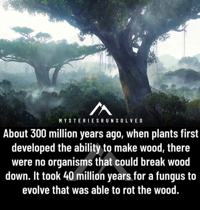 I dont know if its true