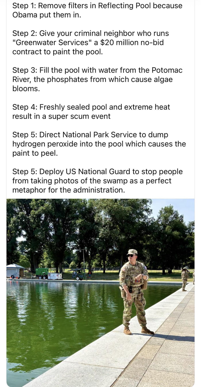 Drain the swamp they said, it will be great they said