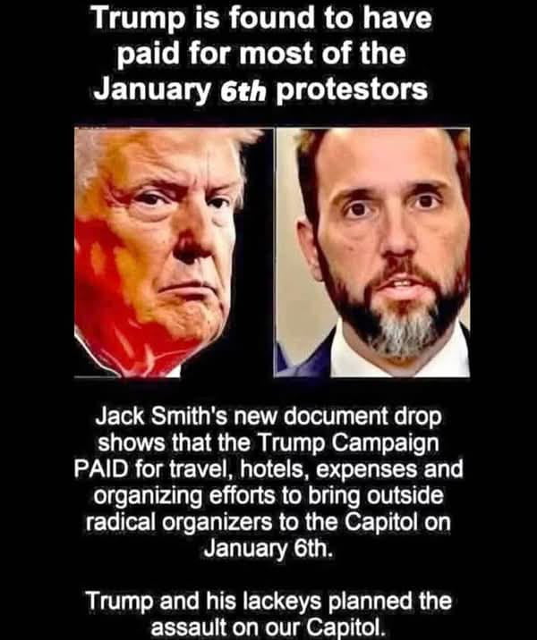 Paid protesters