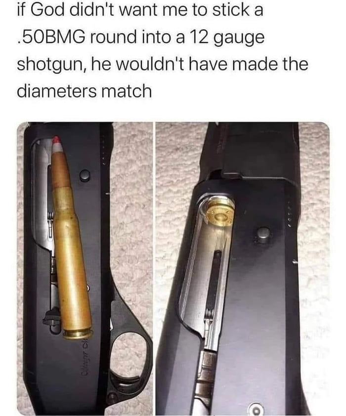 If it fits it shoots