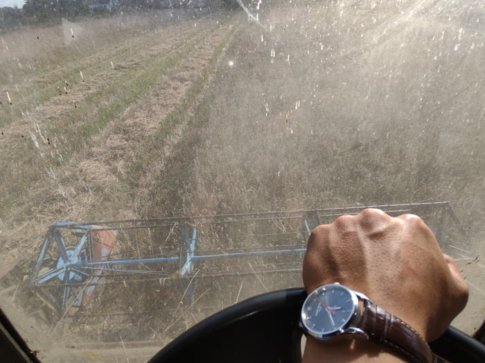 Harvesting in Poland. All the best, fellas!