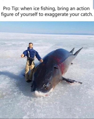 And if you trim the hedges, the deck looks bigger.