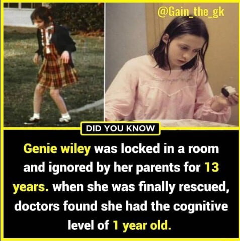 I need help with the sauce. Only got mid 1970s