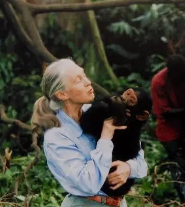 Jane Godall, one of the most important people in natural science, especially in the field of primates, died today at the age of 91. Let us all honor her.