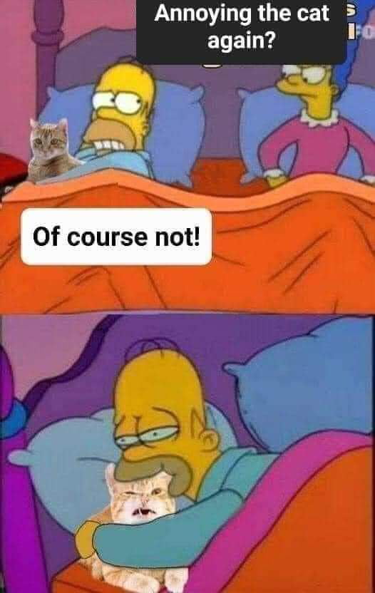 The Cät