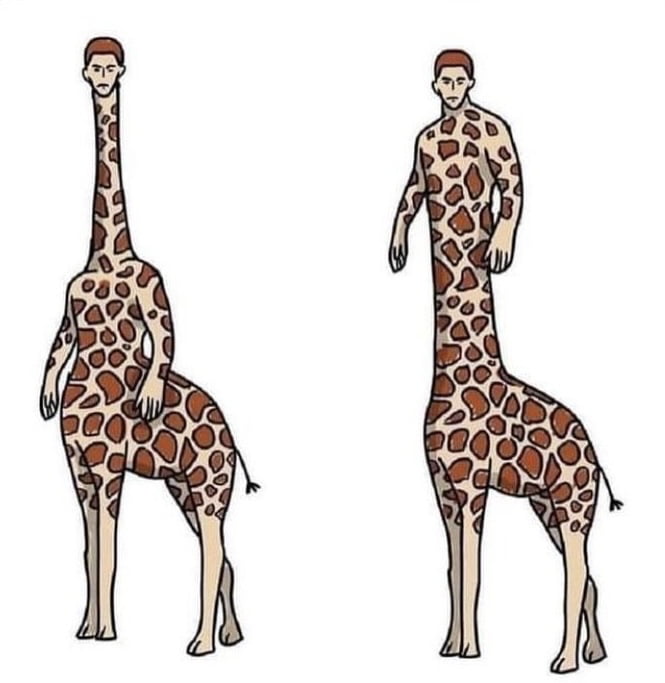 Giraffe centaur
