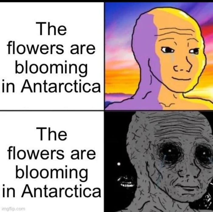 Prehistoric creatures are blooming from the ice