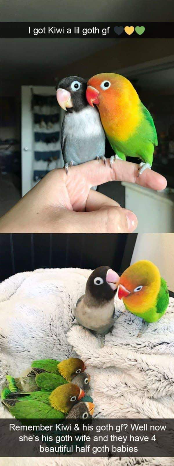 That's sweet