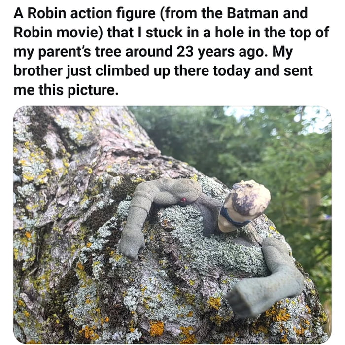 Robin's long lost brother