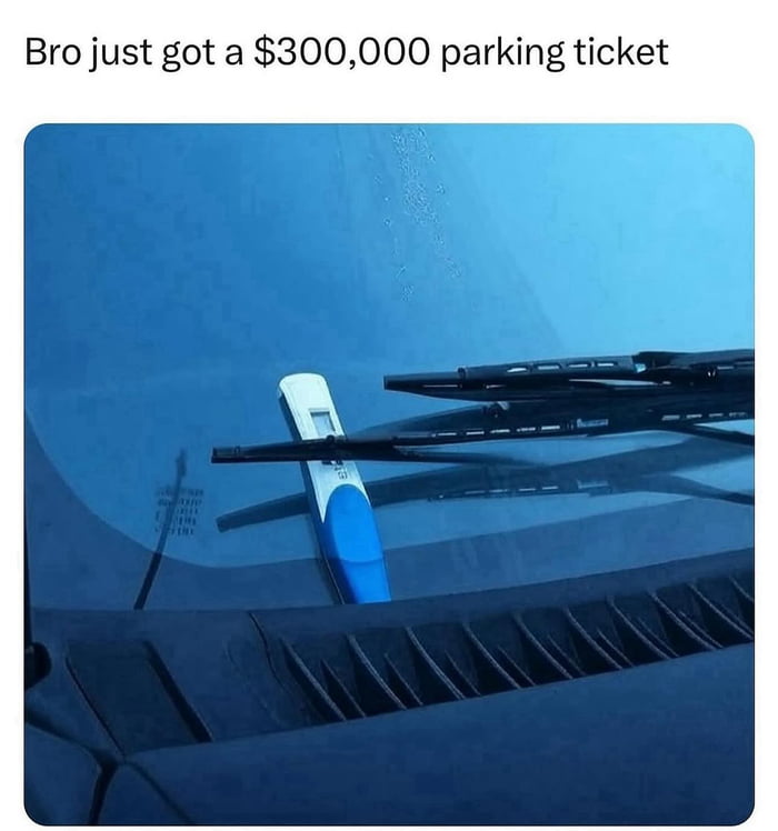 That's one expensive parking ticket