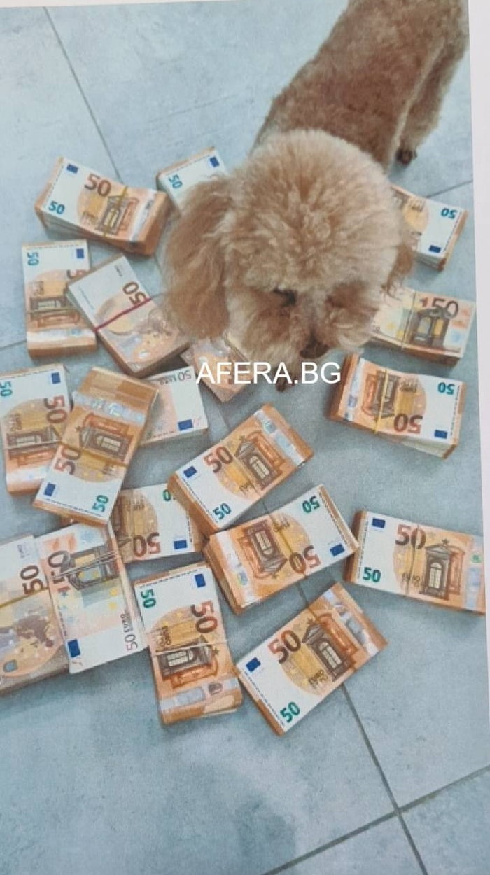 This is money dog! Upvote to gain money and go through customs faster!