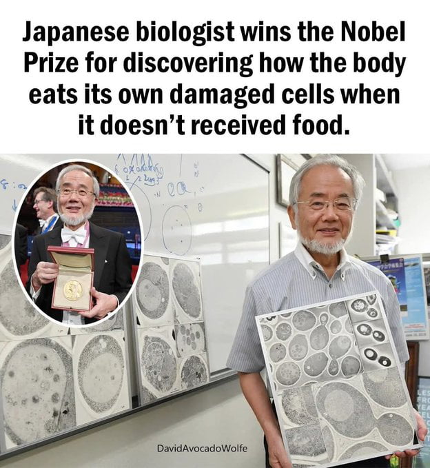 The benefit of fasting