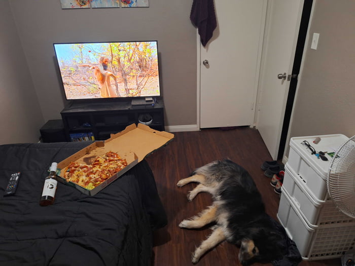 Wife cheated I left. Starting over and have all I need. My dog ,pizza, and some peanut butter whisky.
