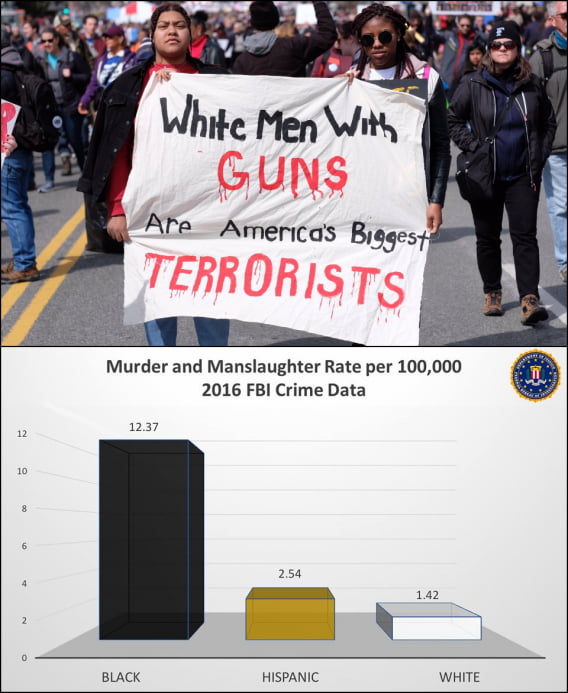 If the AFFIRMATIVE ACTION's actually WENT to school and learned to read and write, they might have been able to read the STATISTICS about themselves !.