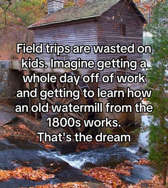 When adulting means taking field trips seriously