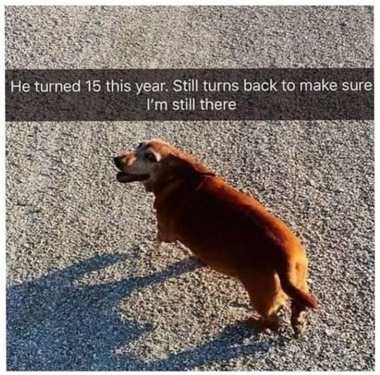 Goodest of boys