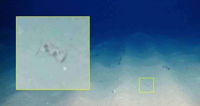 Most important piece found