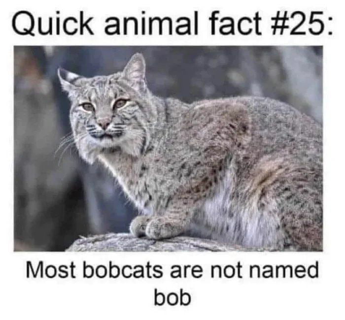More Animal facts please
