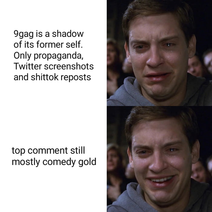 Most experts know the fun is in the comment section