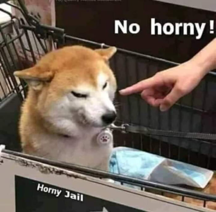 Why are you in horny jail? post the pics