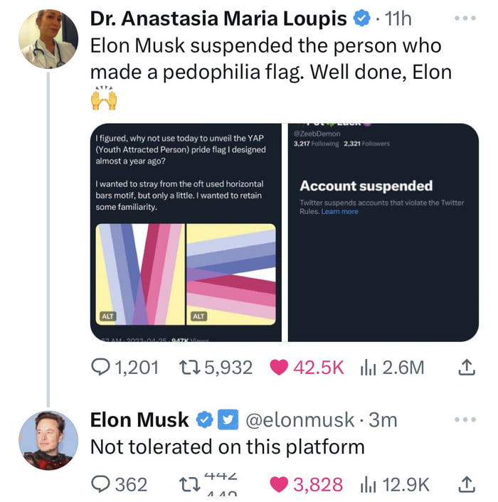 Elon bans "Youth Attracted People" flag... leftists outraged.