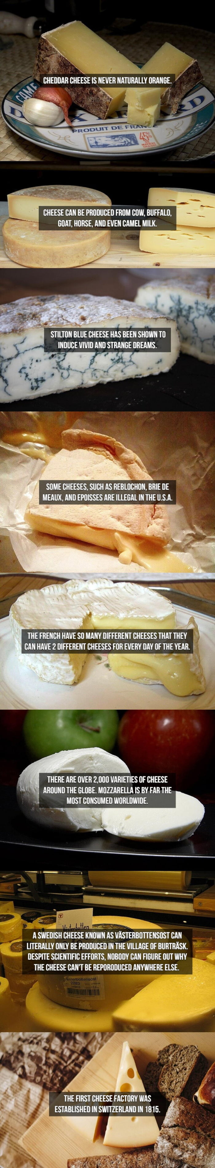 8 cheese facts (if you eat orange cheddar i pity you and your soul)