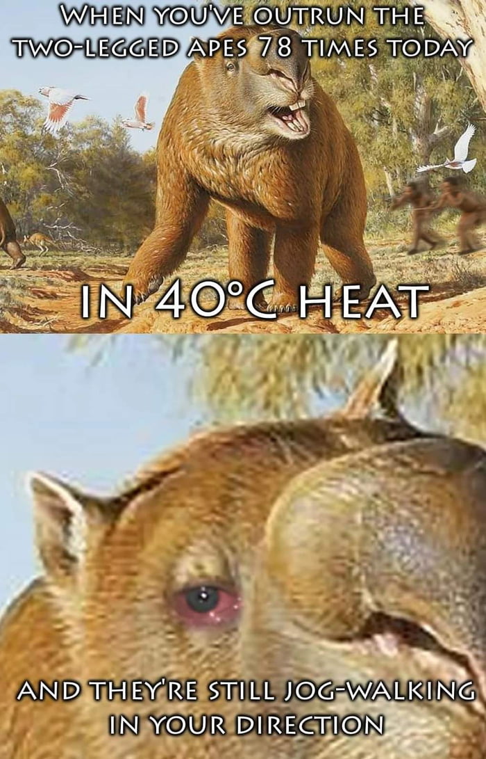 Sweating is OP.